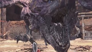 Monster Hunter World Sword and Shield vs HR pink Rathion