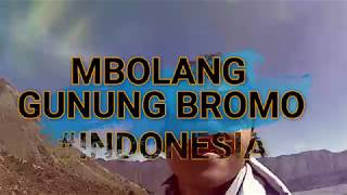 MBOLANG GUNUNG BROMO - JAWA TIMUR