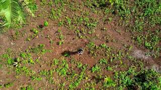 Dji Air 2s Drone Shot