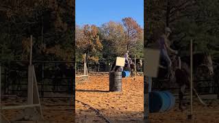 Jumping! I jumped some barrels #horses #horsebackriding #horsejumping