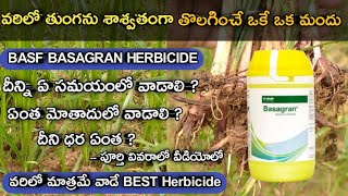 BASF BASAGRAN HERBICIDE || వరిలో 20 - 25 రోజులలో తుంగాని శాశ్వతంగా తొలగించే మందు || bentaxone 48%