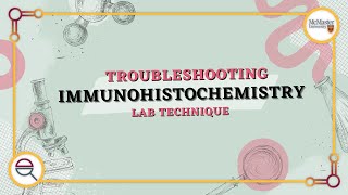 Mastering Immunohistochemistry: A Step-by-Step Guide