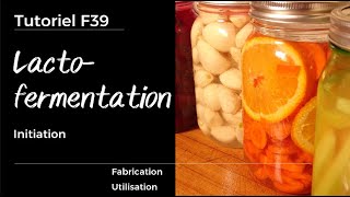 F39   Initiation à la lactofermentation