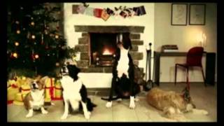 Pedigree - Jingle Barks