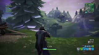 Fortnite live stream