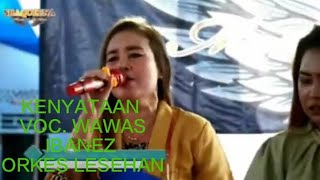 KENYATAAN VOC. Wawas Ibanez_ cover Wawa Marisa. ORKES LESEHAN..