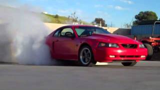 MUSTANG BURNOUT