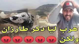 هرب ليا دكر النفاخ طارزان ولكن... !! + توليعة فالحمام لي خليت فالسجنة