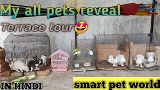 Reveal all pets❤️🤩ll Terrace tour 🤩❤️✌️🥳