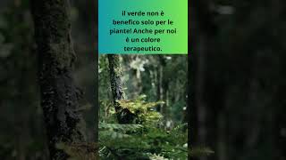 Il Potere del Verde  #shorts #ColoreVerde#RelaxInNatura#Calma#CuriositàNaturali #viralvideo