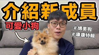 【胡椒】介紹家裡新成員～超可愛小狗『康康特輯』