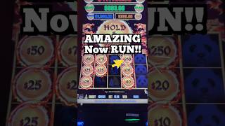 AMAZING Dragon Link Bonus #slots #shorts #youtubeshorts