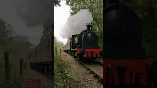 Courageous  and No 20 as tail loco at Ribble Steam Railway gala #railway