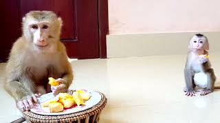 Thanks Kindly Mom For Feeding Yummy Jackfruits To Us