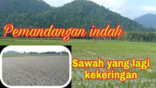 Selalu bersyukur atas segala ujian || Pemandangan Persawahan dan gunung Ngabuburit Puasa hari ke 13