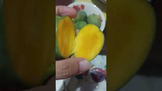 THE SMALLEST INDIAN MANGO 😲