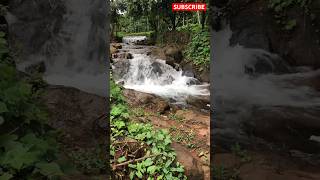 ചെറുകരയിലെ ചെറുചോല#chola #waterfall #beautifull #waterfalls#youtubeshorts #viralvideo #trending #1m