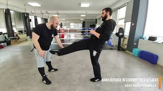 Hand Defence in Straight Kick Attacks