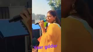 aman rozi song yaar gdar #trending #dance #wedding #love #song #livestream #trending #trendingshorts