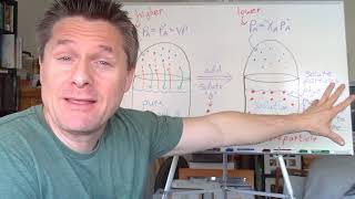 Video 10  Vapor Pressure Lowering