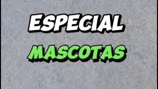 ESPECIAL MASCOTAS OLA DE CALOR