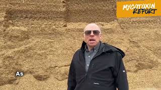 Mycotoxin Report   Larry Roth