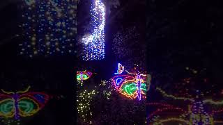 Bellingrath Gardens Christmas Lights Camilia Garden Area