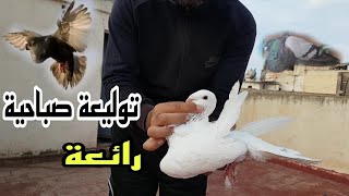 توليعة صباحية رائعة وشكرا على مروركم الطيب 🙏🙏