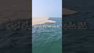 Understand From Quran Perspective The Importance Of Water/Surah Furqan.52।,