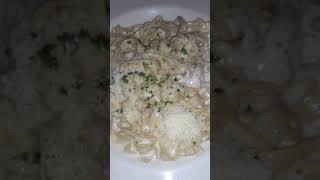 Chicken Alfredo Fans