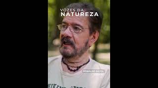 Vozes da Natureza - Depoimento Ronaldo Rayol #shorts