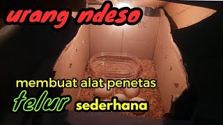 Alat Penetas Telur Sederhana Dari Bekas Kardus