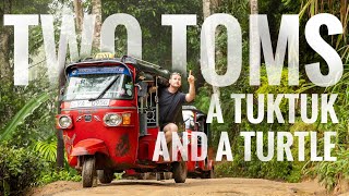 Ep 1 | Two Toms, a TukTuk, and a Turtle in Sri Lanka #LEMONVlog #1