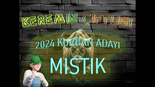 Keremin Çiftliği 2024 Kurbanlık Büyükbaş Mıstık - SATILDI