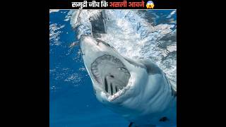 समुद्री जीव कि असली आवजे | real sounds of sea creatures | #shorts #ytshorts