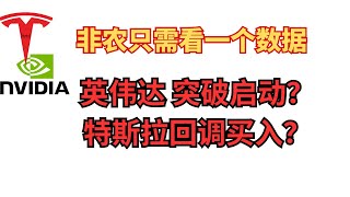 特斯拉大跌，英伟达小涨，非农哪边走？快进来投票中奖！