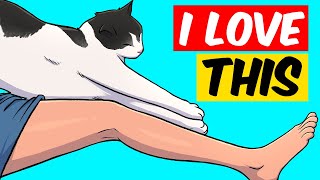 10 Things Cats Love The Most