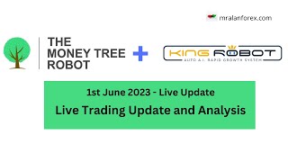 King Robot and MoneyTree - Live Trading Update - 1st June 2023