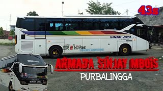 Sinar jaya purbalingga sore ini !! Ada Sinjay mbois 43s