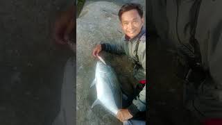 Mengerikan !!! Strike Babon GT di Arus Deras Pulau Nasi Aceh Besar #castingfishing #poppingfishing