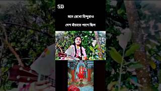 হিন্দুদের পরে কেন হামলা হচ্ছে?🥺 #savehindu #savehindus #shorts #short #savebangladeshhindus