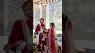 best jaymala couple #viral #trending #shorts #jaymalasong #weeding #weedingsong#bridal #bridalentry