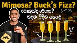 කොහොමද mimosa එකක් හදන්නේ | How to make mimosa cocktail | champagne cocktail