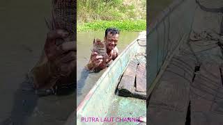 menangkap ikan di rawa tanpa alat,dengan tangan kosong.