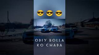 Odiy bolla ko'chada