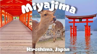 Afternoon Stroll in Miyajima | Hiroshima, Japan | Food | Travel | Guide | JAPAN Vlog