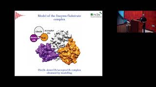 Day 4 - ICGEB-DBT Workshop on NMR Spectroscopy for Drug Development and Biomarker Discovery 2022