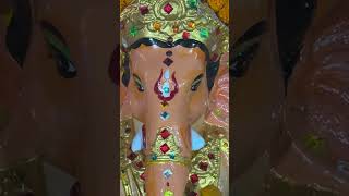 Dubai ganesh chaturthi #festival #ganpatibappamory