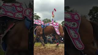 Pawang dan kuda silat tersohor di bandung mang Aep X si manja #bagjatv #shorts #kudarenggong