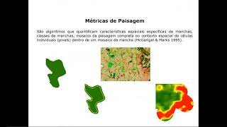 Webinar - Métricas de paisagem como indicadores de biodiversidade - 18/10/18